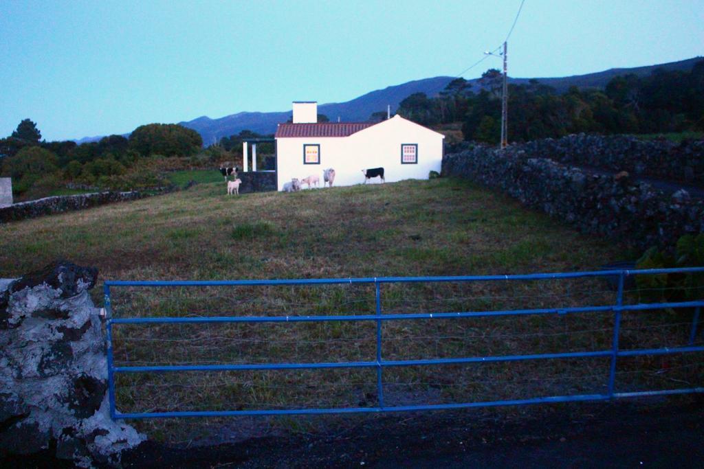 Вілла Casa Do Paim Са́н-Ро́ке-ду-Пі́ку Екстер'єр фото